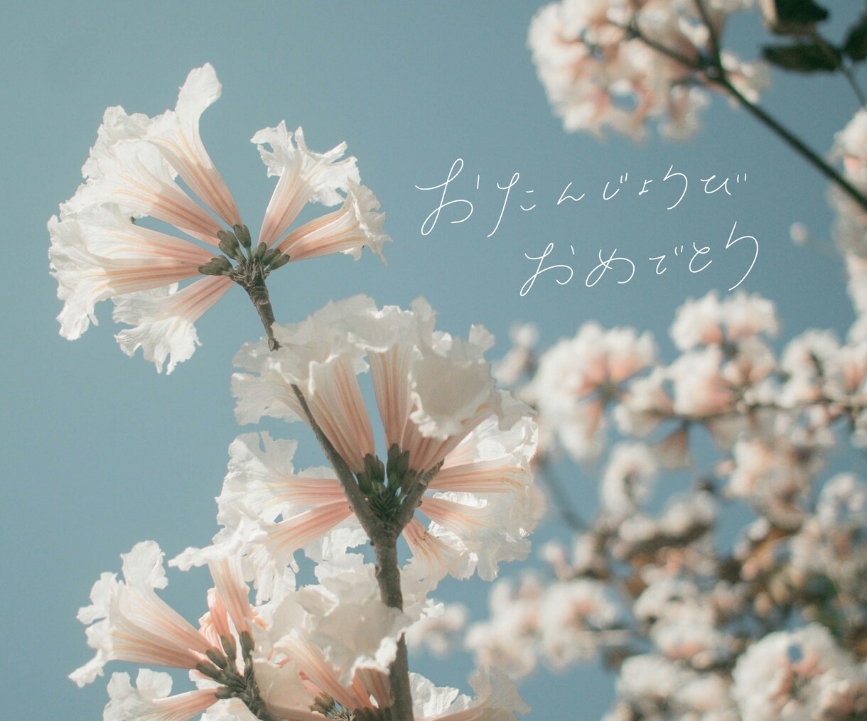 デジタル手書き文字を書きます 画像やサイトに入れる手書き文字ならお任せください！ イメージ2