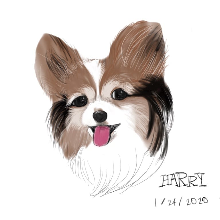 可愛い愛犬描きます 可愛く描きます。アイコン、ヘッダー、待ち受けに イメージ1