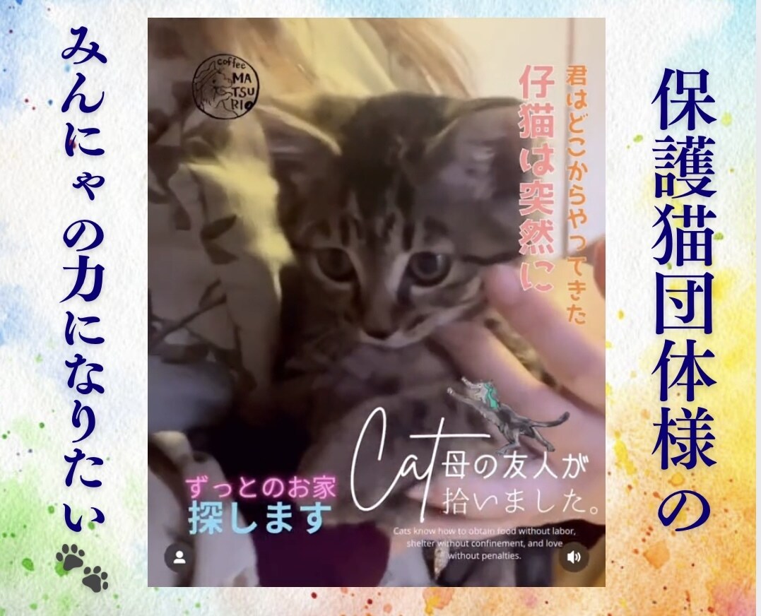 オーダーメイドで30日間まるっと運用代行いたします 写真や動画の素材が多い方向け！しっかり情報を伝える強力広報 イメージ2