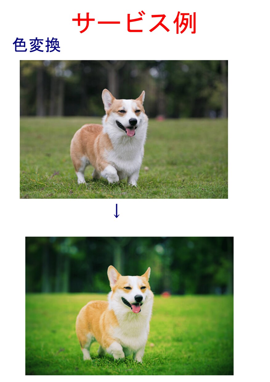お写真を白抜きいたします どんな写真も最速、低料金で懇切、丁寧に仕上げます。 イメージ4