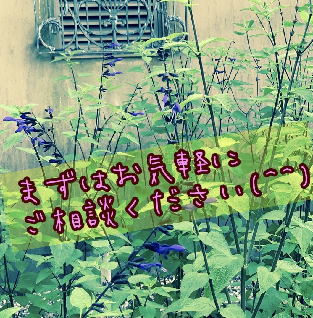 何でもお話ききます 恋愛のこと、仕事の事、家族のこと…何でもお聞きします♪ イメージ1