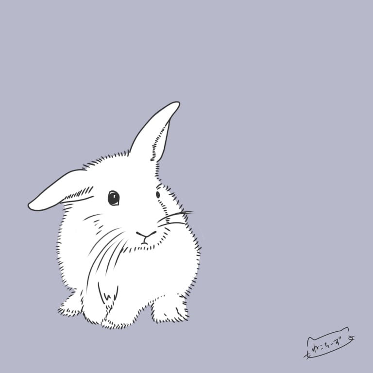 動物のイラスト描きます シンプル可愛い自分だけの動物イラストに！ イメージ6