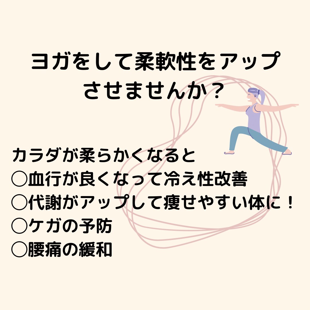 体が柔らかくなる【ヨガ】レッスンをします 【カラダの硬い人に特におすすめ！】 イメージ3