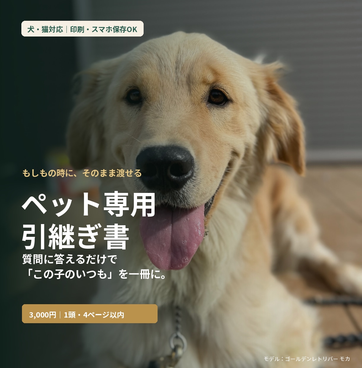 もしもの時のペット専用引継ぎ書を作ります 質問に答えるだけで入院・災害・急な預け入れの備えが完成します イメージ1