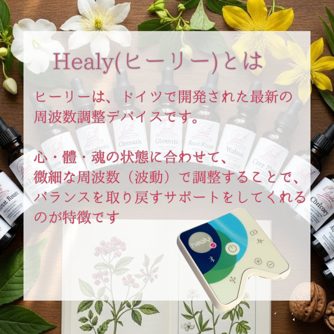 ヒーリーで波動調整します バッチフラワーの波動で感情の解放 イメージ2