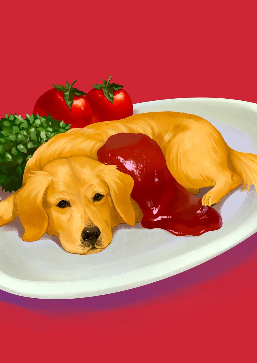 ペット×食べ物のオシャレなイラストを描きます ★猫、犬、両生類、爬虫類など、どんな動物もリアルな質感で★ イメージ6