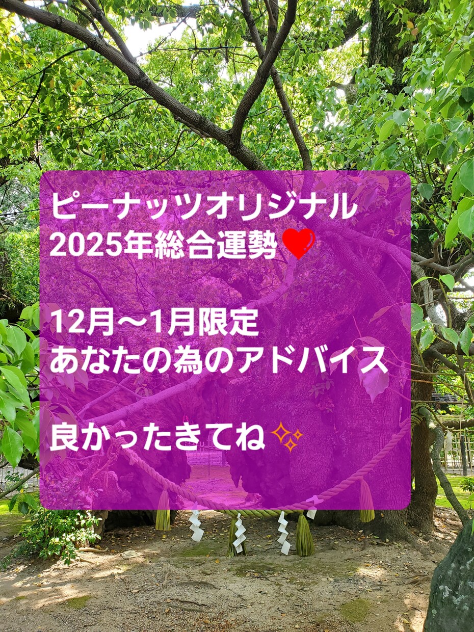 2025年⭐１年間の総合運勢を占います ピーナッツ⭐独自のオリジナル私法で開運アドバイス総合運勢 イメージ1