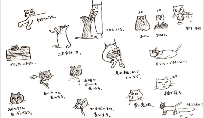 手書きでサラッとポップなイラスト描きます ポップでゆるいイラストを描きます。 イメージ4