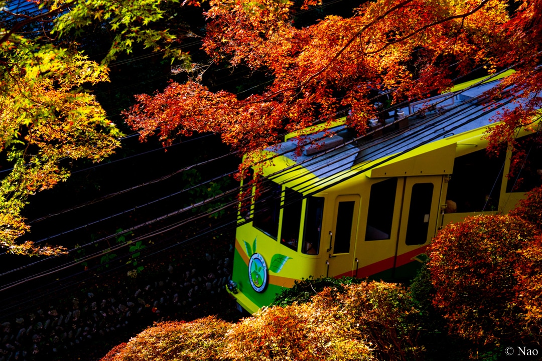 東京の山（高尾・奥多摩）の風景写真を撮影代行します 美しい風景や花の写真を提供！商用利用可・RAW現像サービス付 イメージ8