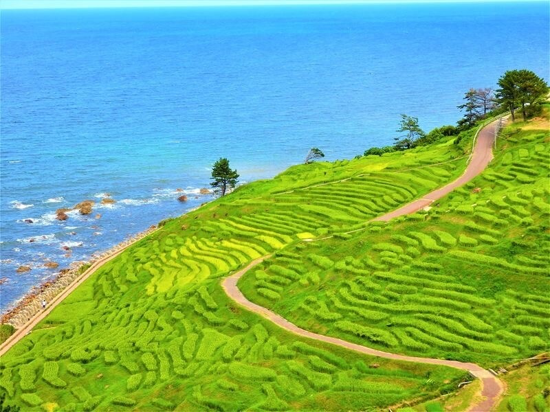 北陸能登半島 思い出に残る旅をデザイン致します あなただけの能登半島を石川県マイスターが旅程デザインします イメージ7