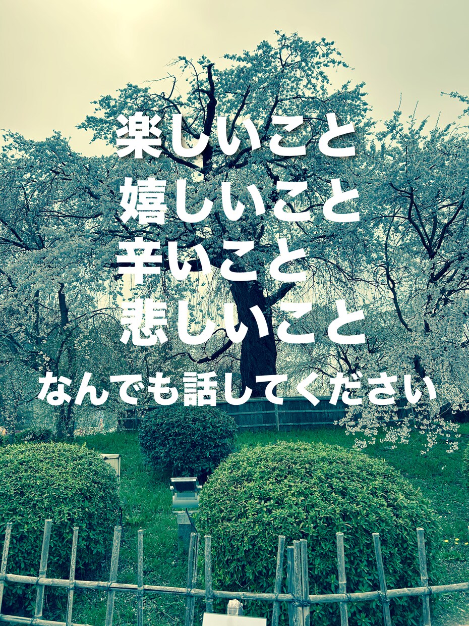 愚痴や悩み、恋愛相談、人間関係のお話お聞きます 心の声、いつでもここで。気軽に話せる安心のひととき イメージ3
