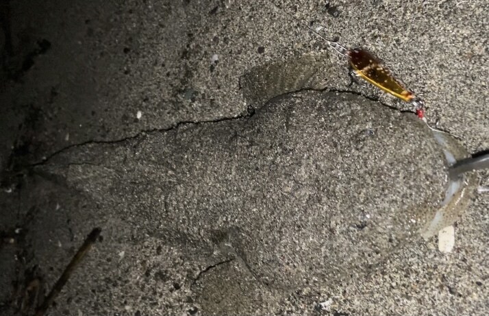 メーカーの現役テスターが釣りのお悩み解決致します メインは人気魚種シーバス、ヒラメの釣り方になります イメージ2
