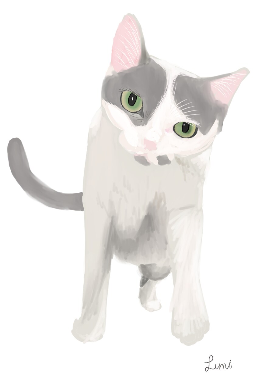 皆さんの愛しいペットの写真をイラストにします どんなタッチの絵か、相談可能です！お直しは3回まで無料です！ イメージ5