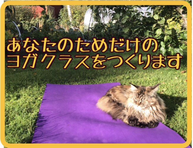 あなたの不調に合わせたヨガクラスをします 肩、腰、首、膝などが痛い方も身体が固いという方でも大丈夫です イメージ1
