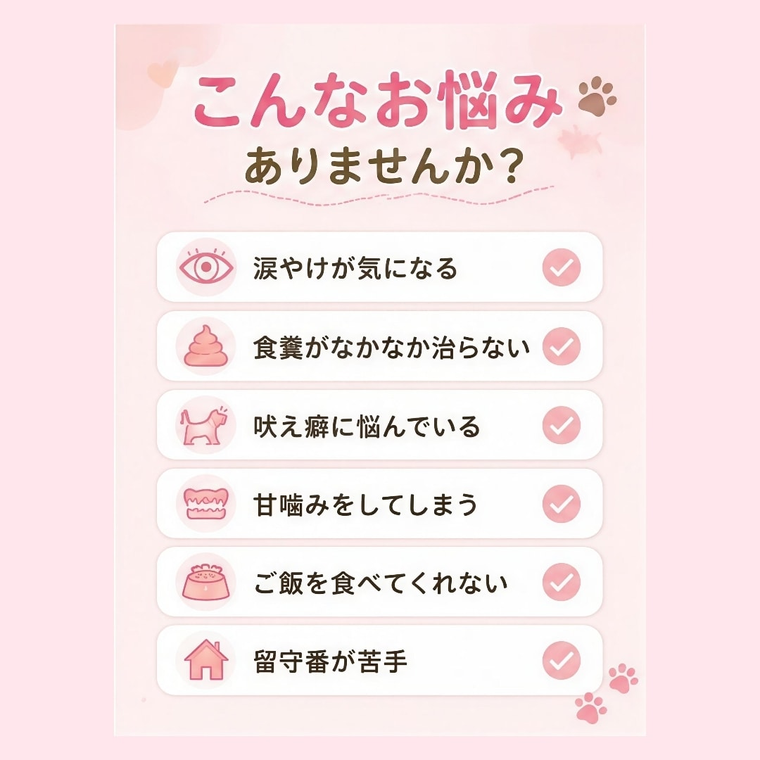 愛犬のお悩みに寄り添い、一緒に考えます どんな小さなお悩みでもお気軽にご相談ください イメージ2