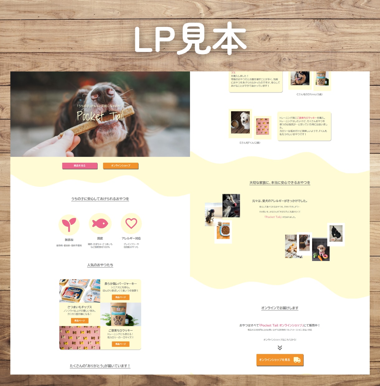 世界観をカタチにするLP制作を承ります ノーコード～WPオリジナルテーマ化まで対応いたします。 イメージ5
