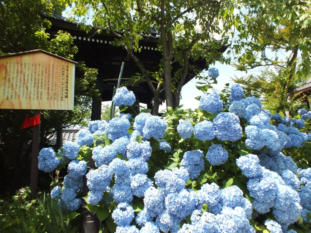 あなたの楽曲に素敵な歌詞をつけます 「言葉にしにくい」「歌詞が浮かばない」でお悩みのあなたへ！ イメージ1