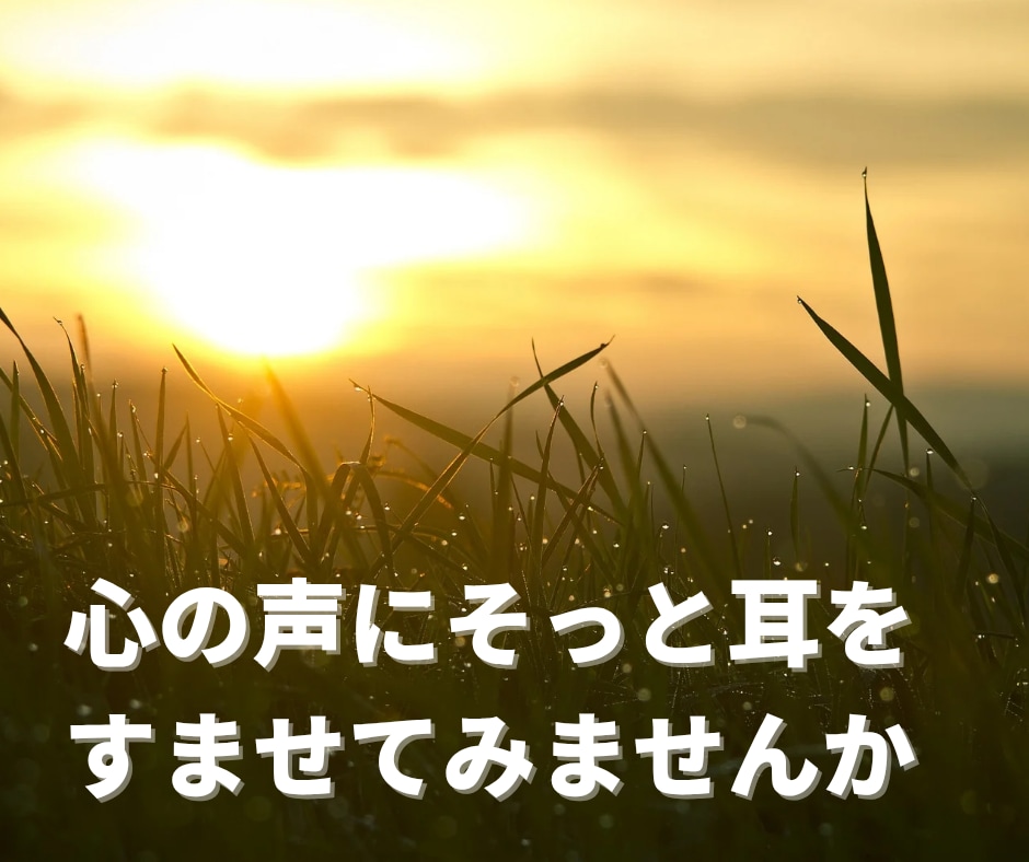 ひかりの対話｜光を思い出すためのサポートをします 気づきを深め、本来の光に戻る対話です イメージ10