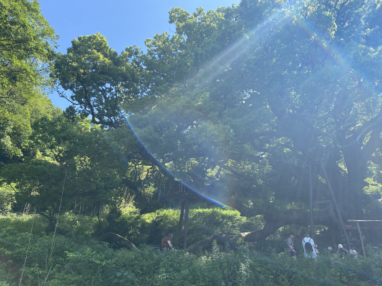 あなたの心の中、全部受けとめます 否定なんてありません、あなたの心の居場所になりたい^_^ イメージ3