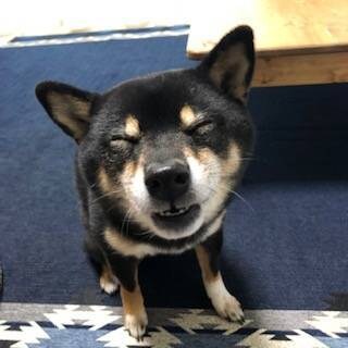 転職に対するあなたのモヤモヤ、聞きます あなたの迷い、利害関係のない転職９回の私にその気持ちを。 イメージ1
