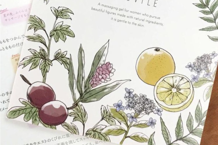 野菜や植物、料理のスケッチ風イラスト描きます メニュー表やパンフ等の挿絵にぴったりな植物・食べ物スケッチ イメージ5