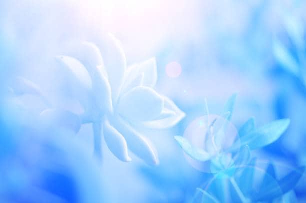 聖級霊視鑑定【彼の本音を見抜く道しるべ】占います 彼の行動と気持ち、ほんの少しだけ覗いてみませんか 占い・相談 イメージ8