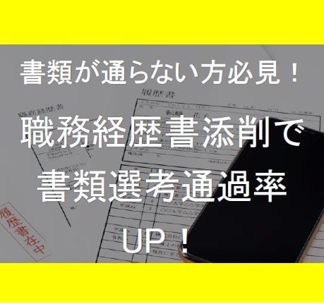 現役エージェントが転職活動トータルサポートします 転職の方法から職務経歴書添削・模擬面接までアドバイス イメージ2