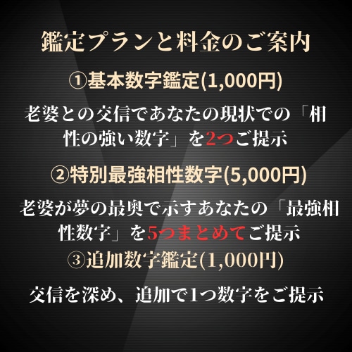 夢の老婆と交信【宝くじ・ロト】相性数字を鑑定します 数字選びに迷う方へ。“当選チャンスを高める数字”をご提示 イメージ2