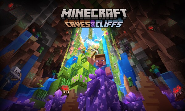MInecraftサーバーの不具合を解消します JAVA、統合版の両方の不具合に対応します。 イメージ1