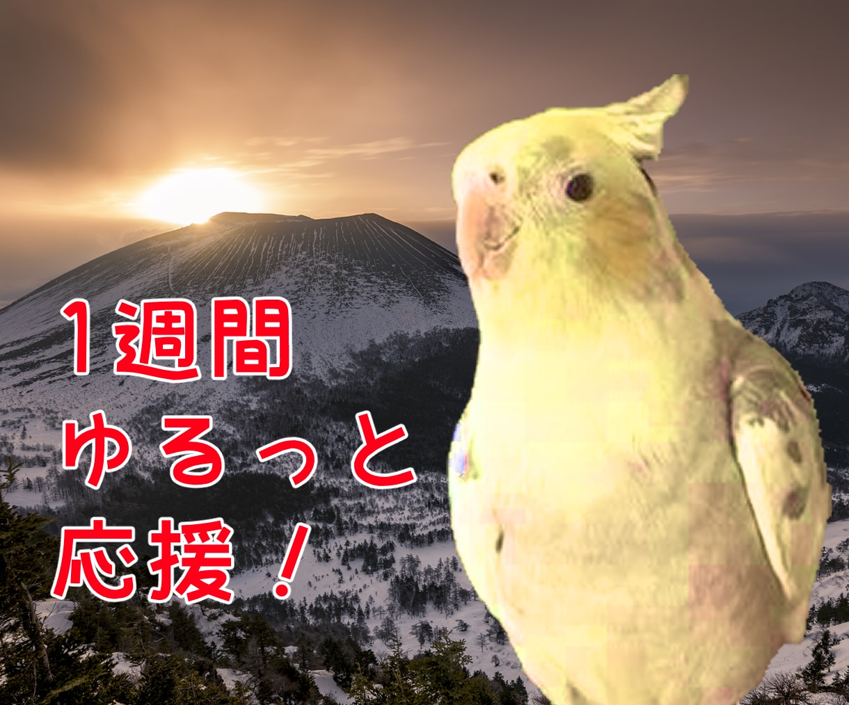 インコが1週間あなたに伴走してゆるっと応援します ダイエット、原稿、ココナラ活動、作業の進捗管理やモチベ上げ！ イメージ1