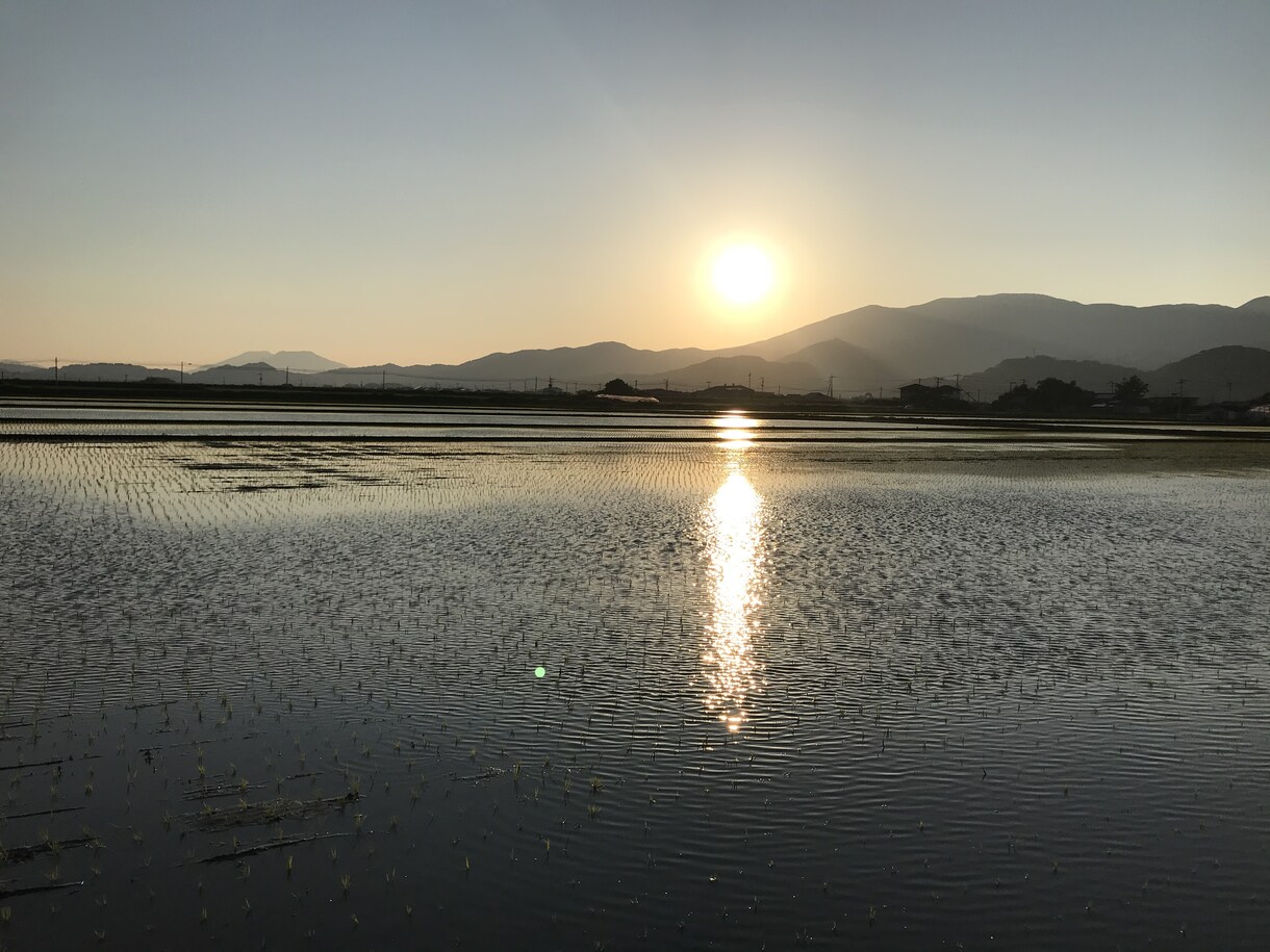 あなたに今一番必要な言葉を届けます あなたのココロを軽くして「現在」に戻します！ イメージ7