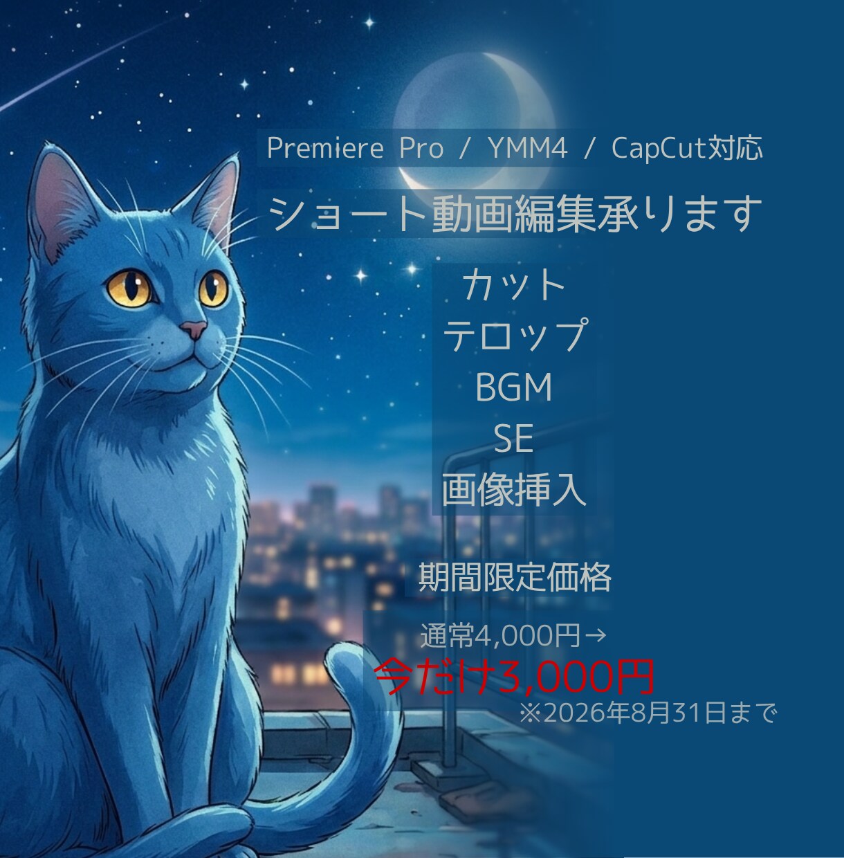 ショート動画編集承ります YouTubeショート / TikTok / リール対応 イメージ1