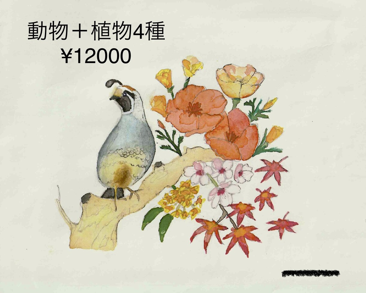 動物や植物などの水彩画を描きます ペットや好きな動植物を水彩画で描きます！ イメージ3