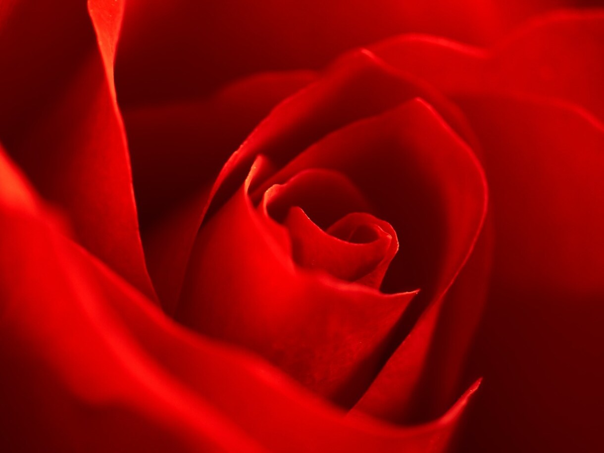 自己肯定感アップ　薔薇の錬金術します あなたの魅力が自然に表現された状態になります イメージ1