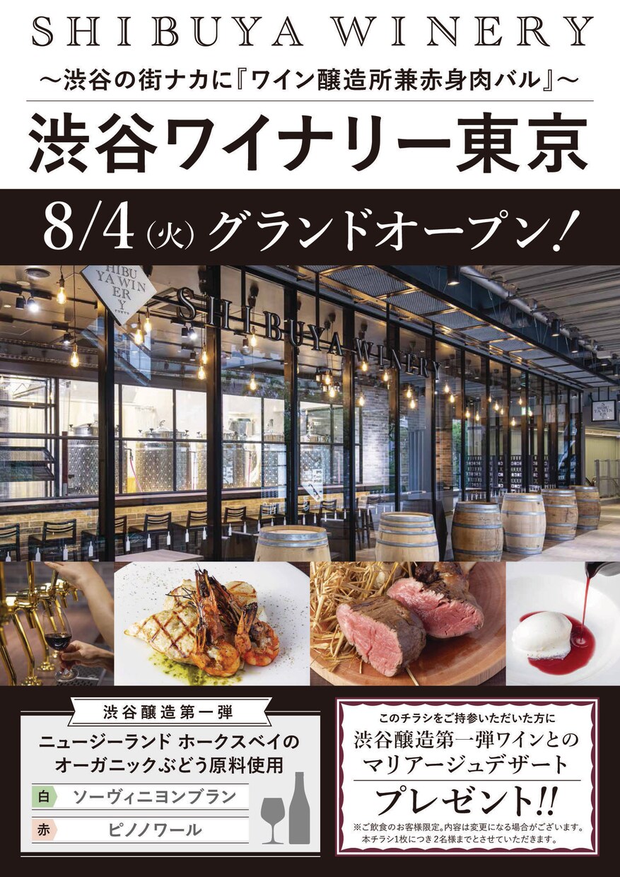 魅力的なチラシをデザインします オリジナルのチラシで集客力をアップしませんか？ イメージ8