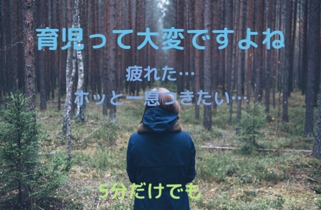 育児の不安引き受けます 子供が大切なのに辛い。そんなふうに思う自分が許せない。 イメージ1