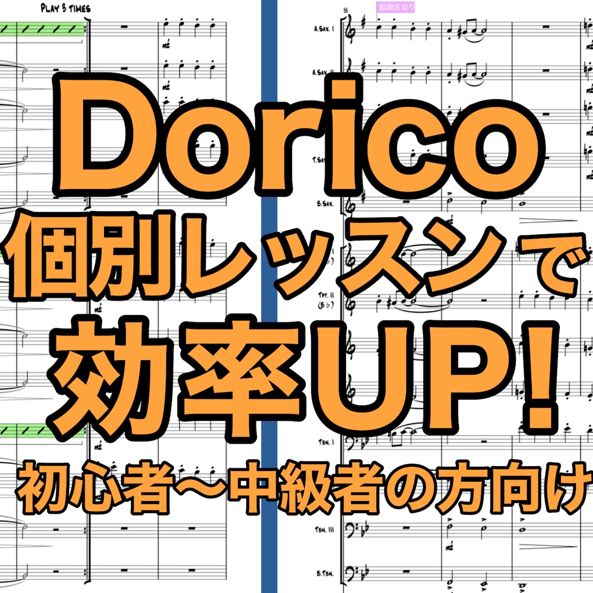 楽譜ソフトDoricoの個別レッスンを行います 機能をフル活用し、効率的に制作しましょう！ イメージ1