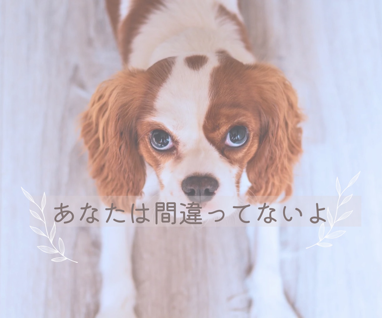 あなたの推しメン☆推し活☆趣味のお話　お聴きします 秘密厳守大好きな推し/リアコ/無いと生きていけない趣味のお話 イメージ6