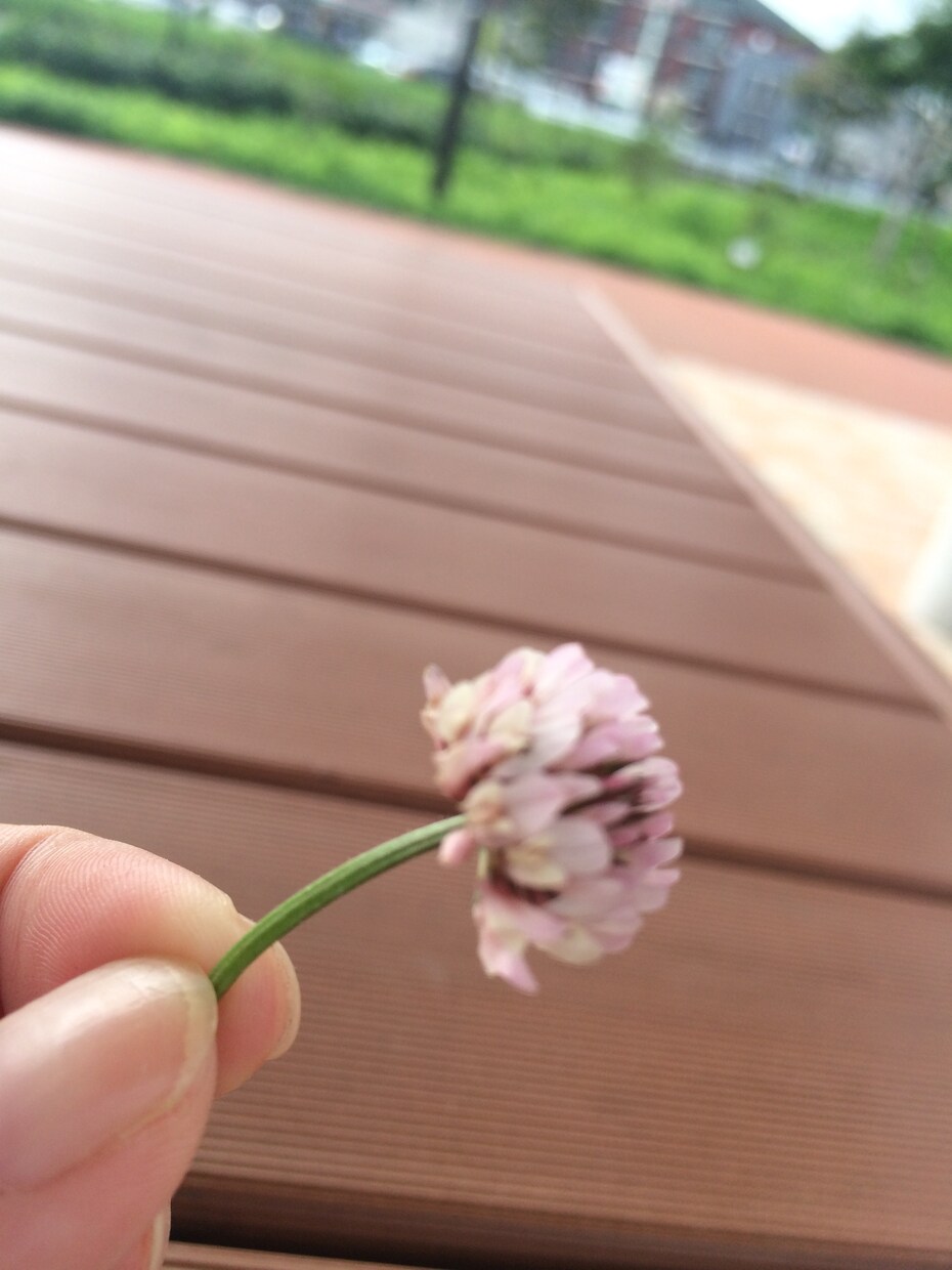 あなたの悩みを聞かせて下さい。 イメージ1