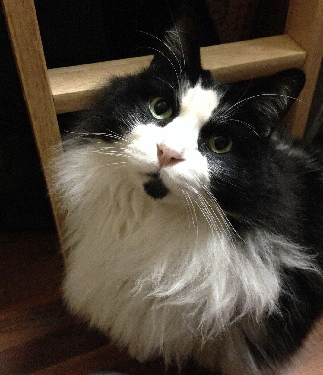 些細なことでも何でもお話聞きます 悩みはあるけどプロに相談するほどでも…という方ぜひ！ イメージ1