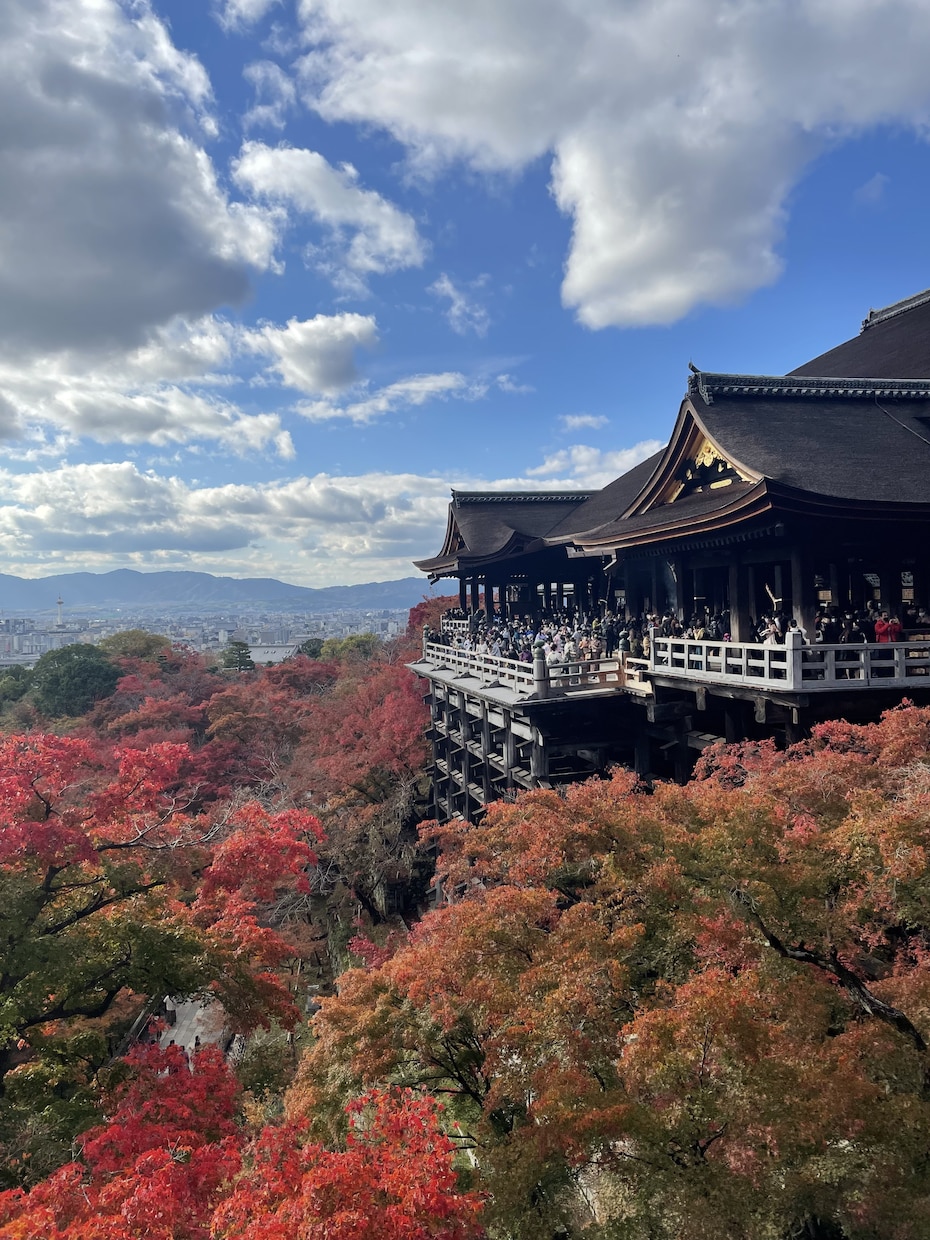 旅行に関することどんなことでも相談乗ります 国内・海外旅行の日程や、小さな疑問や不安を解消します イメージ7