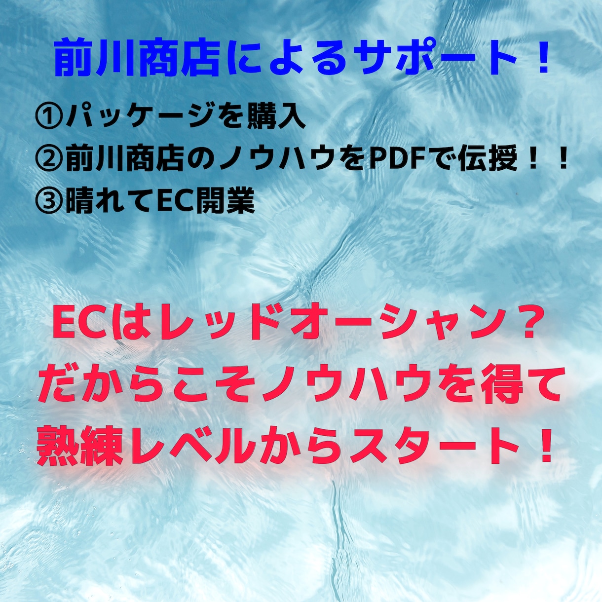 メルカリ、ヤフオクでの副業開業を成功へ導きます 熟練EC知識でメルカリ、ヤフオクで副業を始めましょう！ イメージ2