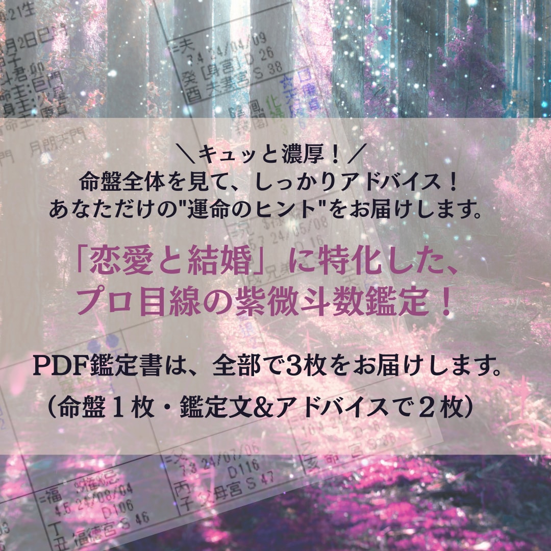 初回限定・千円！紫微斗数で結婚アドバイスします 運命の人は？恋と結婚について宿命から探ります！婚活ポイントも イメージ2