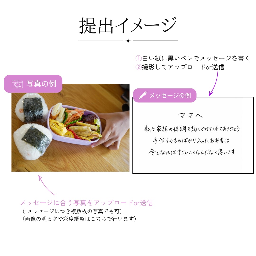 手書きムービー（テンプレ、セミオーダー）作成します テンプレート、セミオーダーから選べます。ISUM申請代行も◎ イメージ6