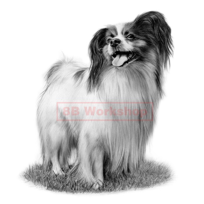 愛犬、愛猫を精細な鉛筆画で再現いたします 実務30年以上プロのイラストレーターが描きあげます イメージ7