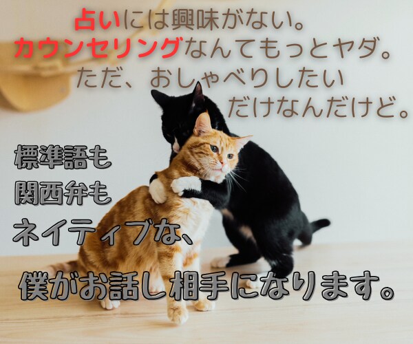 誰かと かる〜く お喋りしたい。　お待ちしています 標準語も関西弁もネイティブな僕が、お話し相手になります。 イメージ1