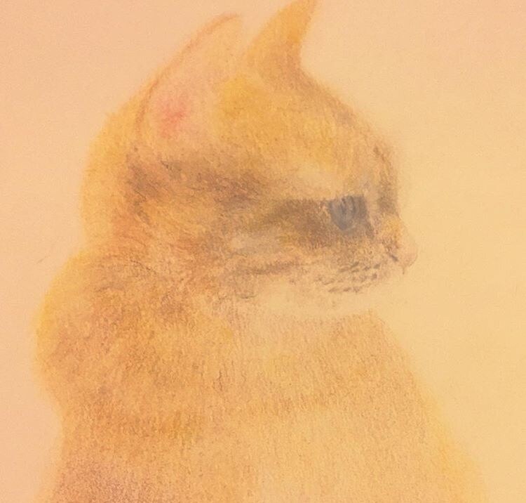 貴方の大切な家族の一員を描きます 愛犬、愛猫、愛魚、愛兎どんな動物でもお任せ下さい！ イメージ2