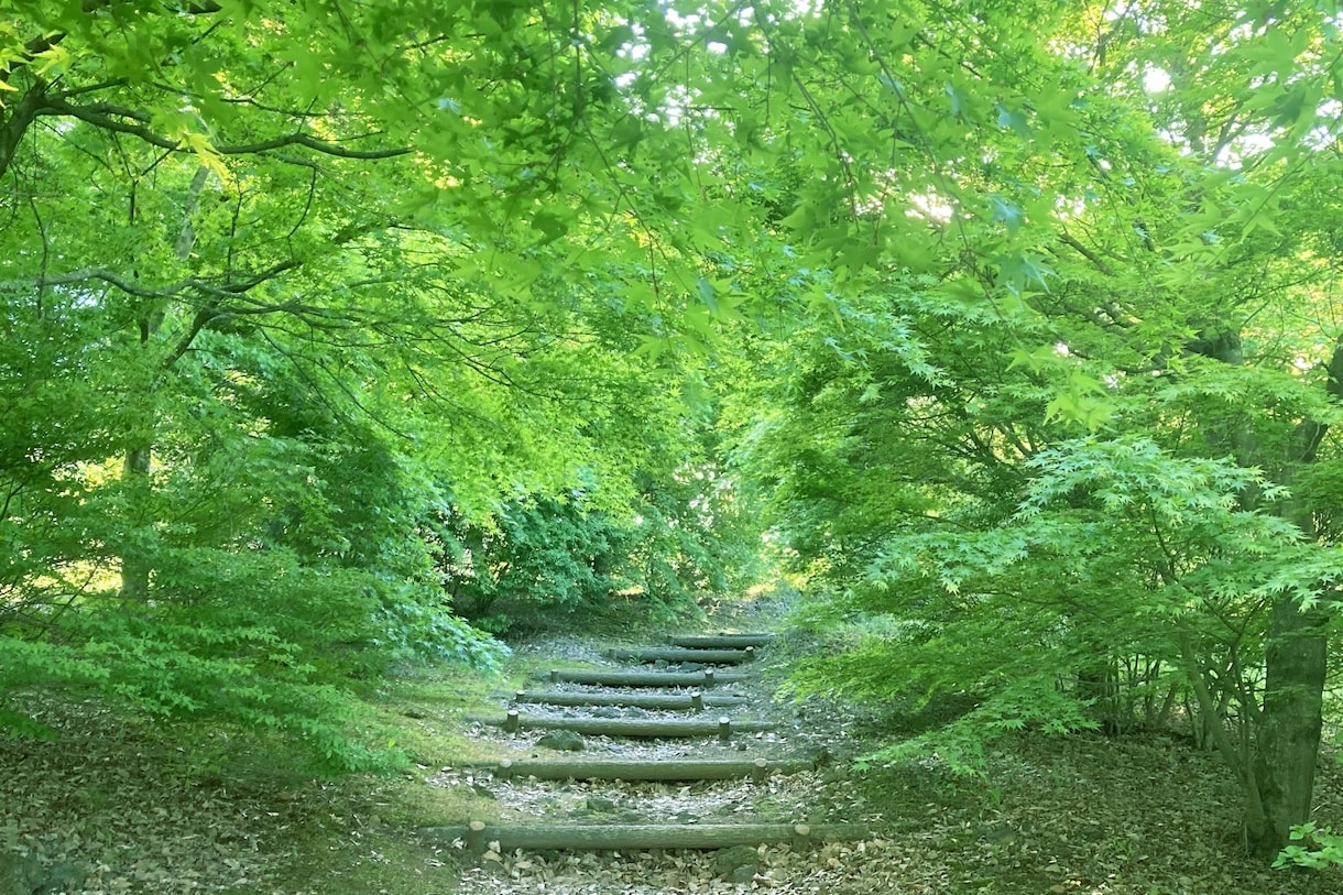 まずはお試し☎ほっと、リラックス☕️お話し聴きます 資格保有☘️気ままにおしゃべり☕️ちょこっと話しませんか？ イメージ8