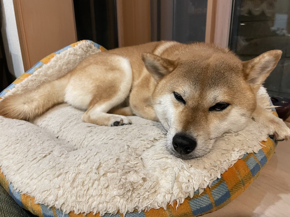 何でも聞きます！！ます 何でも聞きます。愚痴でも、悩みでも呟いてみませんか？？ イメージ3