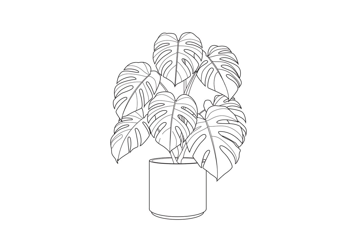 写真を高品質なベクター線画イラストにします 写真をもとに細部まで丁寧なベクター線画を制作します。 イメージ6